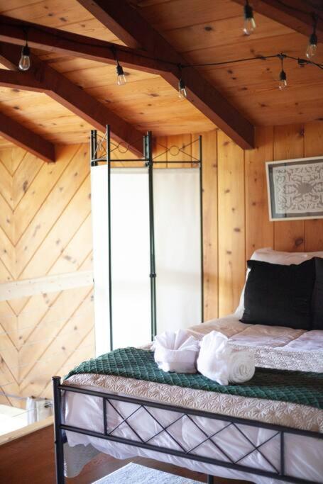 Family Cabin Near Smoky Mtn Entrance Nantahala Роббинсвилл Экстерьер фото