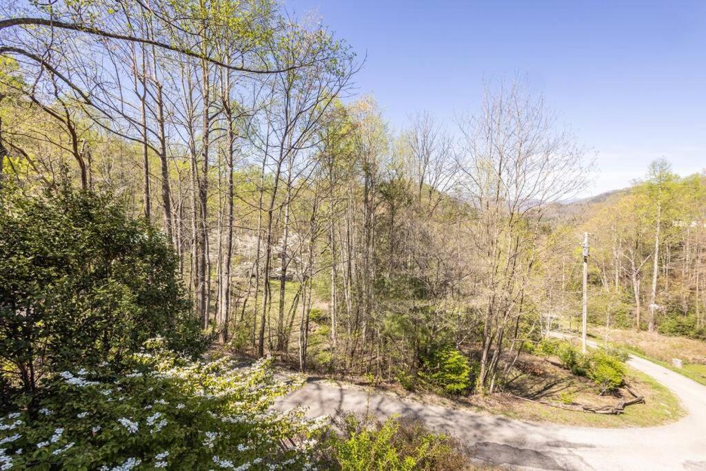 Family Cabin Near Smoky Mtn Entrance Nantahala Роббинсвилл Экстерьер фото